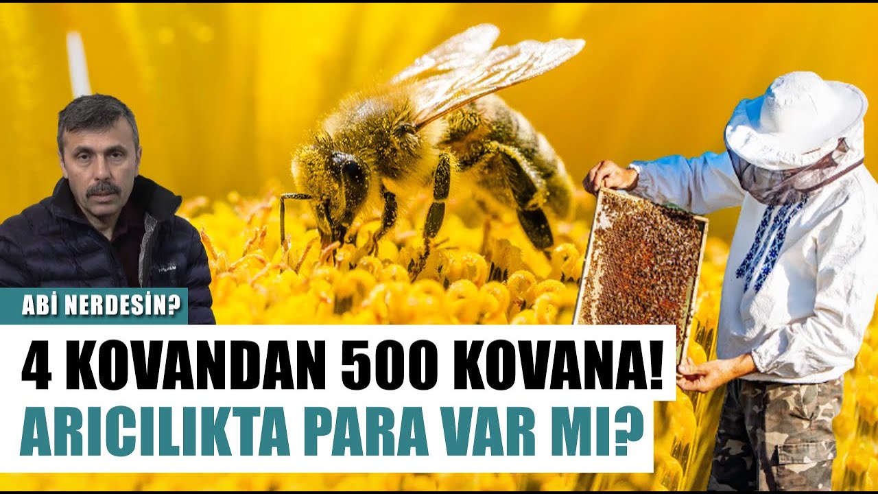 4 Kovanla Başladı 500 Kovanı Var! Arıcılıkta Para Var Mı? | Abi Nerdesin?