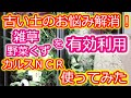 【カルスＮＣＲ】古土再生/もう捨てなくて大丈夫/雑草すら活用できる/持続可能な園芸【微生物の力】