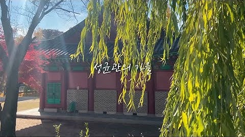 성균관대학교의 가을🍁 | FALL IN SKKU