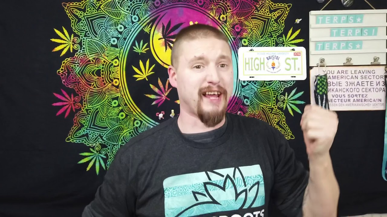 Garlic Cookies live by Grassroots, PA Medical Marijuana