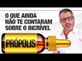 PRÓPOLIS: para que serve e como tomar 🐝💧