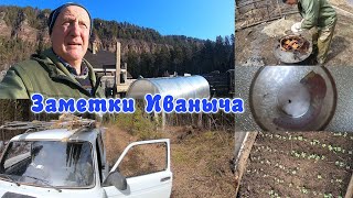 Взошла редиска, заготовка черенков, первый клещ и копченое сало