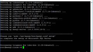 Install Microsoft SQL Server on Ubuntu Server