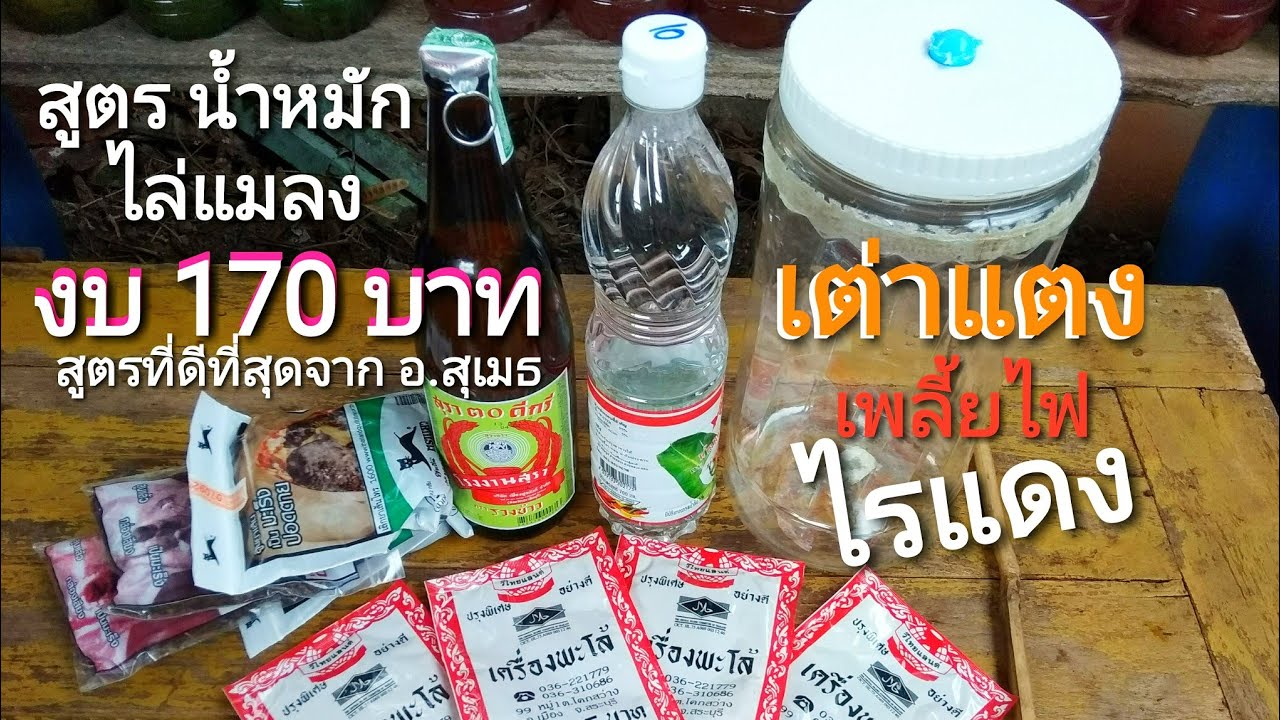 สูตรน้ำหมัก ไล่แมลง ไล่เพลี้ย, เต่าแตง ,เพลี้ยไฟ ,ไรแดง สูตรดีที่สุด ปลอดภัย ไร้สารเคมี ตกค้าง