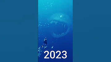 Bloop Evolution 2020 2023 Shorts Ocean Bloop Bloop2024 Spacebloop 