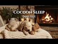 🔴 12 Hours Blanket Cocoon Sleep: Cozy Puppy Fireplace Ambience for Deep Rest HD ✨