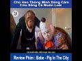 Review Phim Babe - Pig In The City