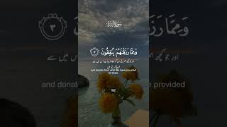 Surah Al Baqarah (سورة البقره) HEART TOUCHING RECITATION  #viral #youtubevideo #viral #spreadislam