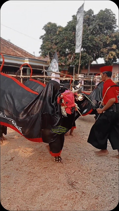 Dj Sorak sorak!! #bantengan #bantenganmalang #mberot #putroagungbathoro #malang