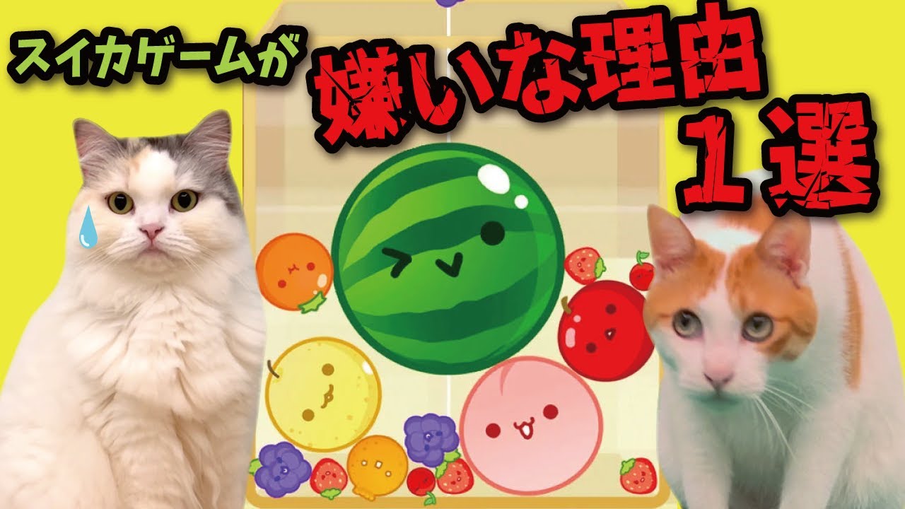 ぐでねこちゃんチャーム　スイカ maxresdefault.jpg