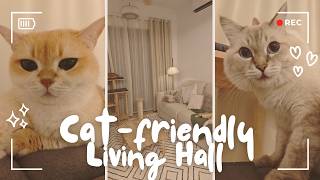 How Much I Spent on My Japandi, Cat-friendly Living Room How Much I Spent on My Japandi, Cat-friendly Living Room
