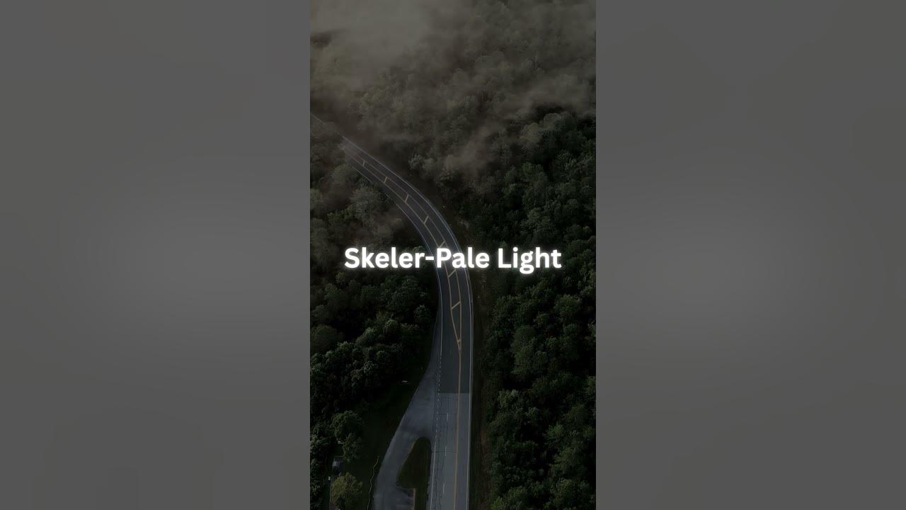 skeler. - Pale Light