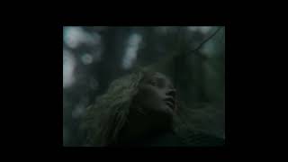 Following Willow Ch 3 Into the Dark Forest Excerpt