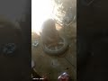 انا عن نفسي ميكانيكي 