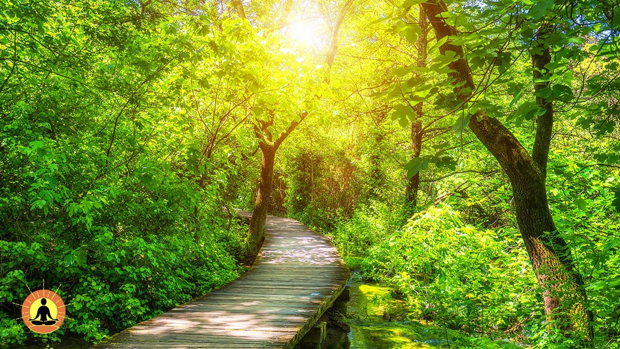 🔴 Relaxing Music 24/7, Stress Relief Music, Sleep Music, Meditation Music, Study, Calming Music