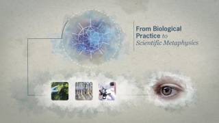 Scientific Metaphysics