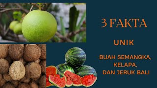3 Fakta Unik Buah Semangka, Kelapa, dan Jeruk Bali