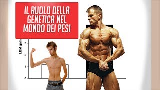 Cosa avresti dovuto chiedere ai tuoi insegnanti su arnold schwarzenegger e steroidi
