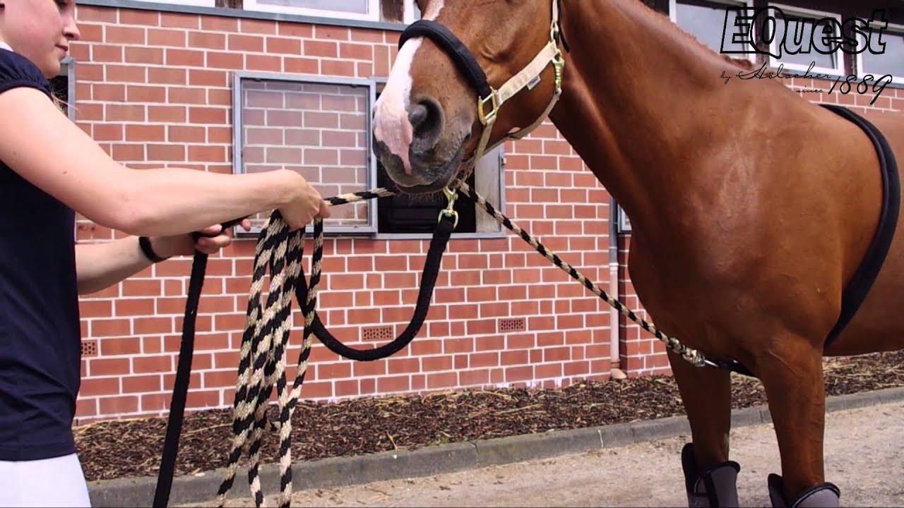 EQuest Verladehilfe (Trailer Anbindegurt, Heunetz, Transportgamaschen, Stretch Halfter)