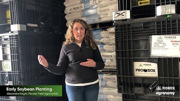 Managing Soybean Emergence During Cold Weather Conditions