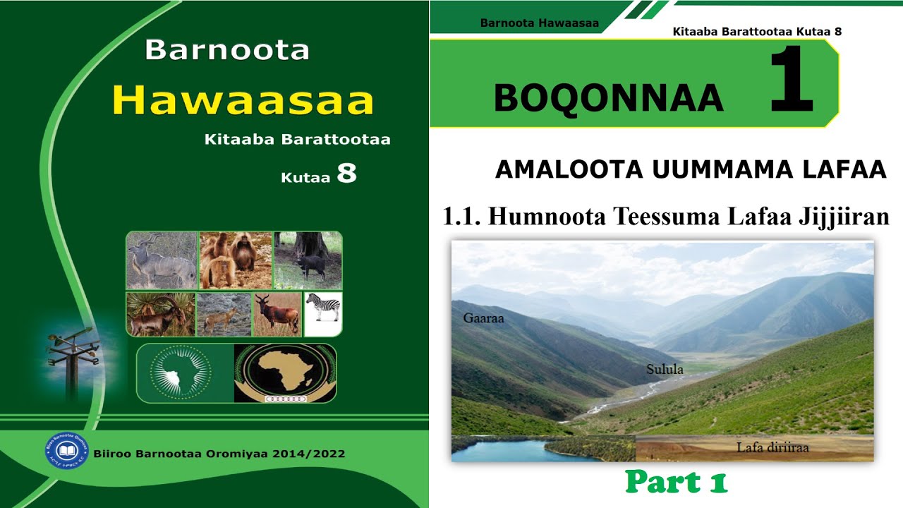 Hawaasa Kutaa 8ffaa Boqonnaa 1 part 1