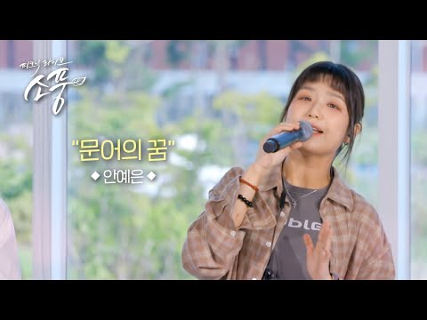 안예은 - 문어의 꿈ㅣ피크닉라이브 소풍ㅣEP.141