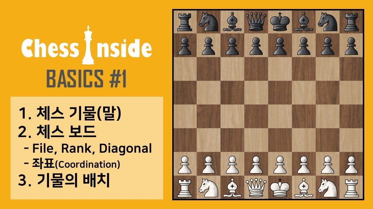 체스의 기초#1 - 기물(Pieces)과 보드(Board)의 이해
