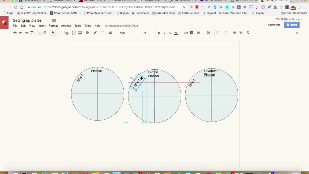 Directions For Making A Drawing Of Your Labeled Petri Dishes