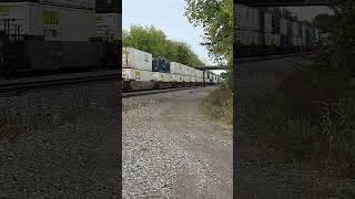 BNSF Stack Train WB @ Edelstein, IL