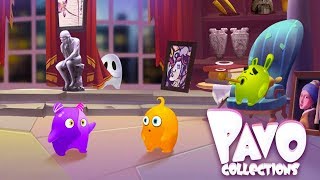 Pavo Colleciton