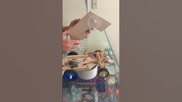 carrito a control remoto (proyecto escolar)