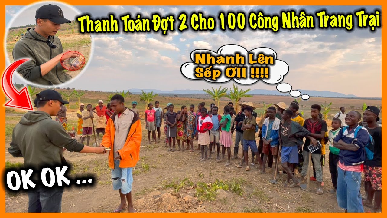 Quanglinhvlogs || Đến Ngày Thanh Toán Đợt 2 Cho Tổng Hơn 100 Công Nhân Tại  Quang Linh Farm - YouTube