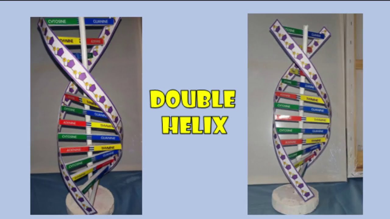 constructing a paper helix