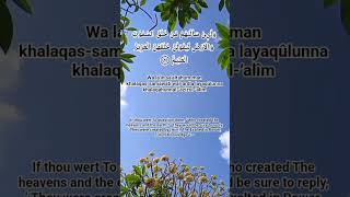SURAH AZ-ZUKHRUF AYAT 9 SURAH AZ-ZUKHRUF AYAT 9