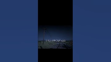 سورة النبأ | الشيخ ياسر الدوسري |#quran #yasseraldossary #اكسبلور #قرآن #راحة_نفسية #قران_كريم