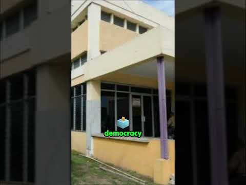 Why Public Libraries are the Backbone of Jamaican Democracy