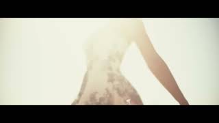 Tesla Model 3 2022 Black San Francisco Den Gate Bridge Commercial