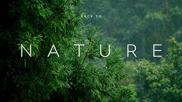 Nature Travel Youtube Video Intro