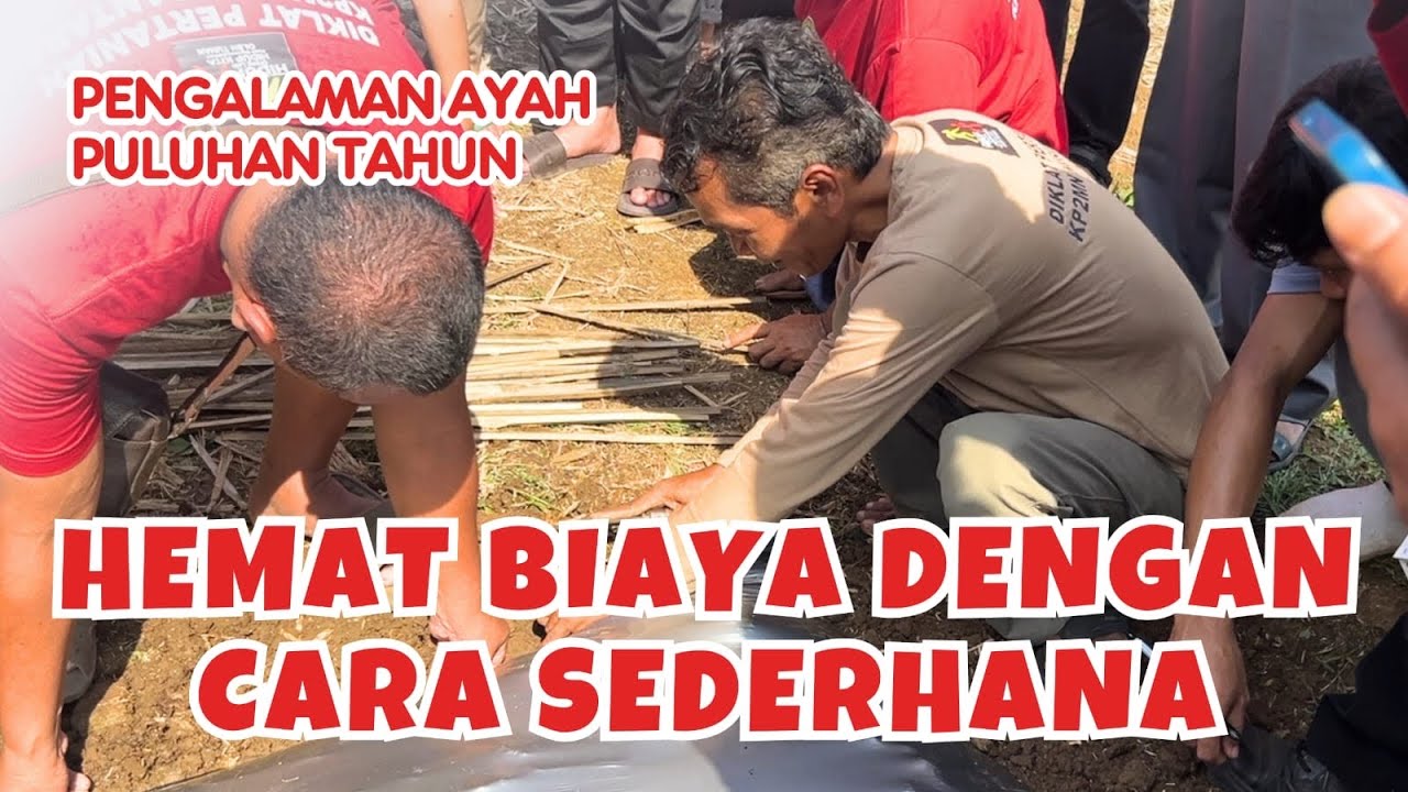 Mayoritas Petani Salah Memasang Mulsa, Pupuk Habis Sia-Sia