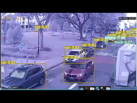 YOLOR Object Detection