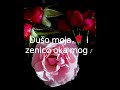 Za Moje Drage Prijatelje рџЊ Samo Jedan Stih рџ ќрџ ќрџ ќ Ako Еѕelite Bi Nastavite Dalje Sa Tekstom Za Moje Drage Prijatelje рџЊ Samo Jedan Stih рџ ќрџ ќрџ ќ Ako Еѕelite Bi Nastavite Dalje Sa Tekstom