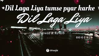 Dil Laga Liya Maine  Cover Slowed  Reverb Heart Touching Female Version 