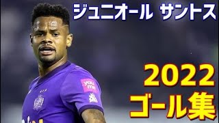 ジュニオール・サントス　サンフレッチェ広島　2022年ゴール集　全8ゴール　Jリーグ・ルヴァンカップ