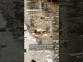 Día 7 - Tome Acción Hoy