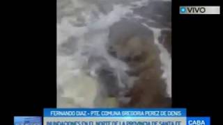 08-01-2019 Fernando Diaz - Pte. de Gregoria - Inundaciones en la prov. de Santa Fe. #argentinisimatv