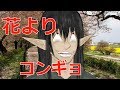 【俺流】穏やかな花見してきた！　#９