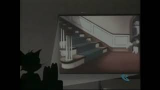 Shutter Bugged Cat On Boomerang March 1St 2003