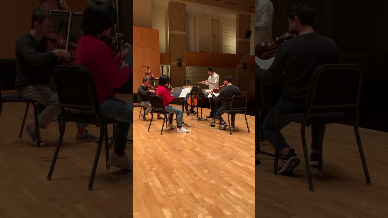 J. Haydn - Symphony No. 93 in D major Movement 1 - Deniz Çağlarcan