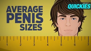 Comparing The Average Penis Size And Pornstar Penis Size [2023]