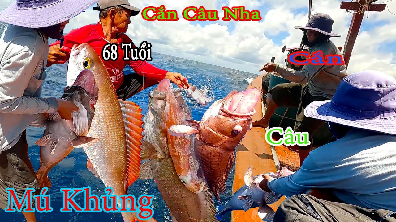 CÂU TAY 4║Đụng Trúng Điểm Mú indo Siêu Khủng,AE Kéo Đã Tay Luôn.Cuộc Sống Dân Biển.